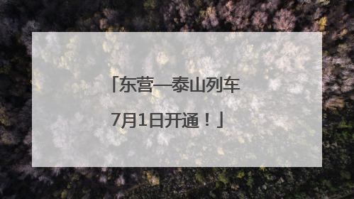 东营—泰山列车7月1日开通！