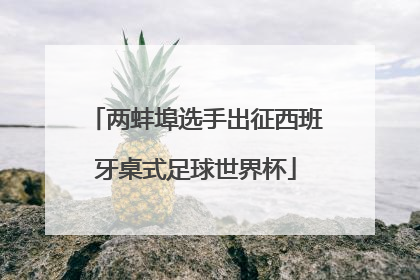 两蚌埠选手出征西班牙桌式足球世界杯