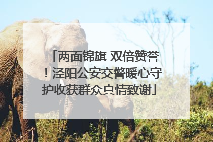 两面锦旗 双倍赞誉！泾阳公安交警暖心守护收获群众真情致谢
