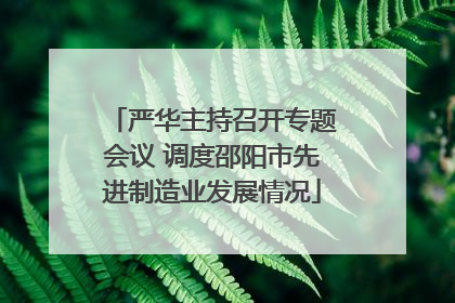 严华主持召开专题会议 调度邵阳市先进制造业发展情况