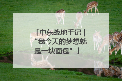 中东战地手记｜“我今天的梦想就是一块面包”