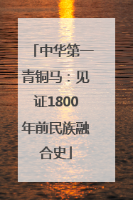 中华第一青铜马：见证1800年前民族融合史