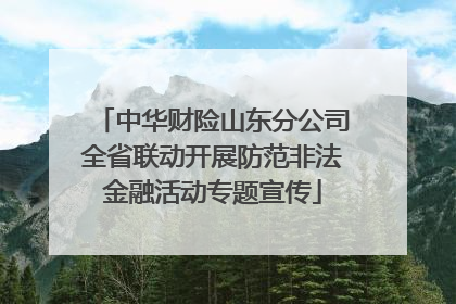 中华财险山东分公司全省联动开展防范非法金融活动专题宣传
