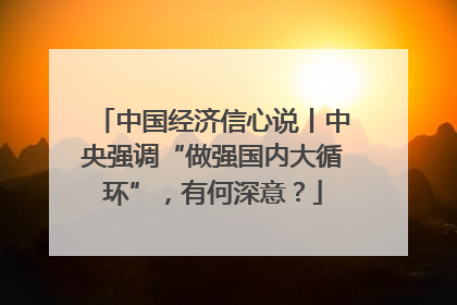 中国经济信心说丨中央强调“做强国内大循环”，有何深意？