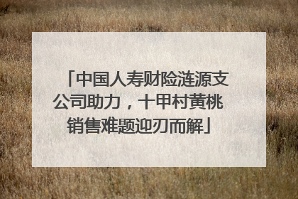 中国人寿财险涟源支公司助力，十甲村黄桃销售难题迎刃而解