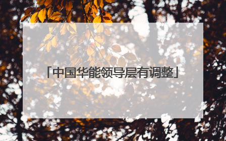 中国华能领导层有调整