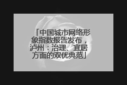 中国城市网络形象指数报告发布，泸州：治理、宜居方面的双优典范
