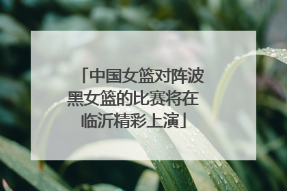 中国女篮对阵波黑女篮的比赛将在临沂精彩上演