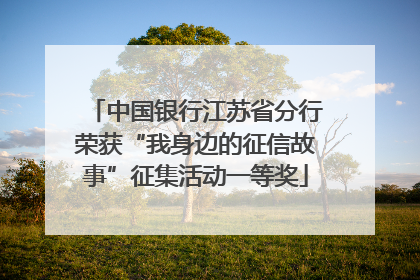 中国银行江苏省分行荣获“我身边的征信故事”征集活动一等奖