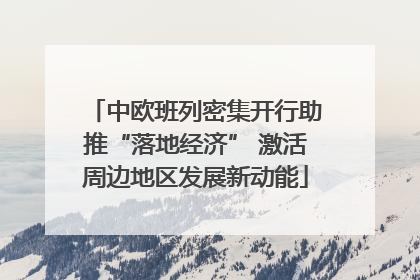 中欧班列密集开行助推“落地经济” 激活周边地区发展新动能