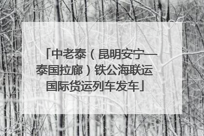 中老泰（昆明安宁—泰国拉廊）铁公海联运国际货运列车发车