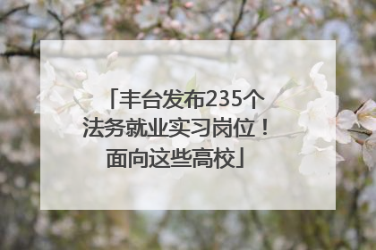 丰台发布235个法务就业实习岗位！面向这些高校