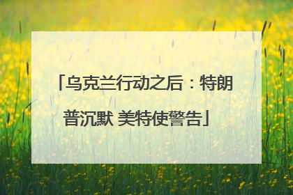 乌克兰行动之后：特朗普沉默 美特使警告
