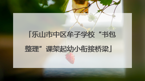 乐山市中区牟子学校“书包整理”课架起幼小衔接桥梁