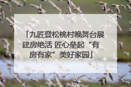 九匠登松桃村晚舞台展建房绝活 匠心垒起“有房有家”美好家园