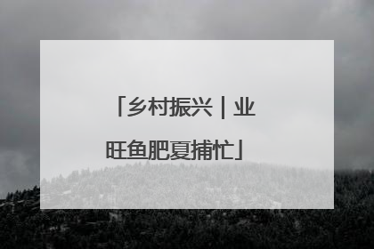 乡村振兴｜业旺鱼肥夏捕忙