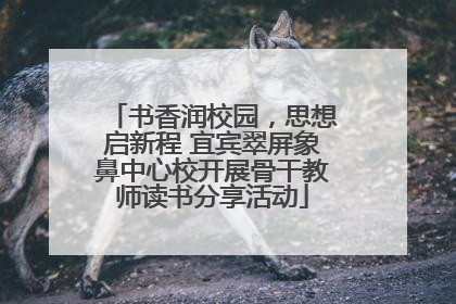 书香润校园，思想启新程 宜宾翠屏象鼻中心校开展骨干教师读书分享活动