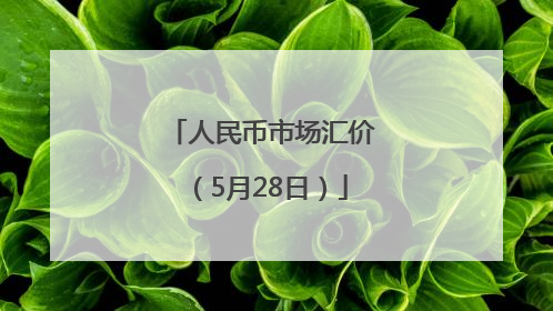 人民币市场汇价（5月28日）