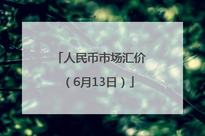 人民币市场汇价（6月13日）