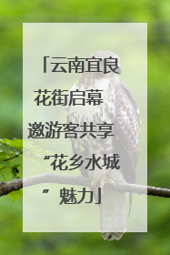 云南宜良花街启幕 邀游客共享“花乡水城”魅力