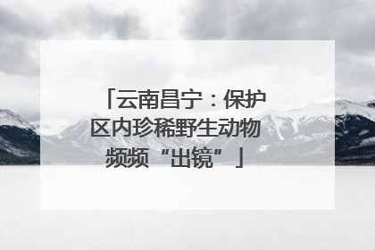 云南昌宁：保护区内珍稀野生动物频频“出镜”