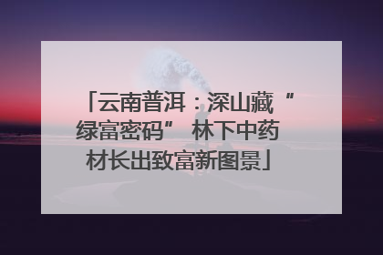 云南普洱：深山藏“绿富密码” 林下中药材长出致富新图景