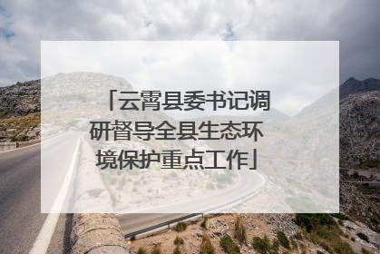 云霄县委书记调研督导全县生态环境保护重点工作