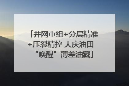 井网重组+分层精准+压裂精控 大庆油田“唤醒”薄差油藏