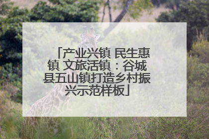 产业兴镇 民生惠镇 文旅活镇：谷城县五山镇打造乡村振兴示范样板