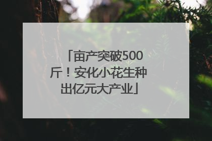亩产突破500斤！安化小花生种出亿元大产业