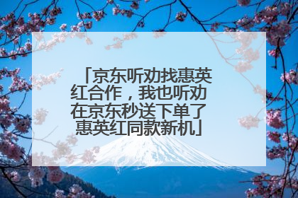 京东听劝找惠英红合作，我也听劝在京东秒送下单了惠英红同款新机