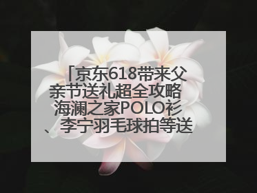 京东618带来父亲节送礼超全攻略 海澜之家POLO衫、李宁羽毛球拍等送到爸爸心坎上