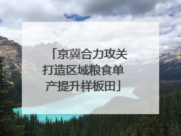 京冀合力攻关打造区域粮食单产提升样板田