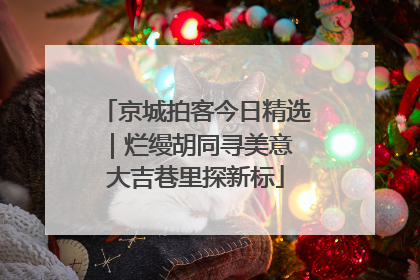 京城拍客今日精选｜烂缦胡同寻美意 大吉巷里探新标