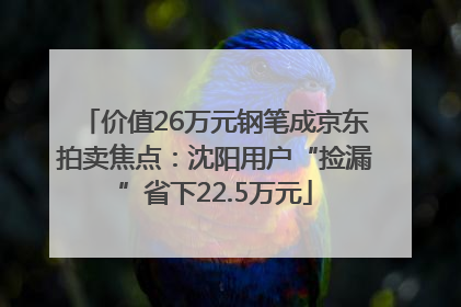 价值26万元钢笔成京东拍卖焦点：沈阳用户“捡漏”省下22.5万元