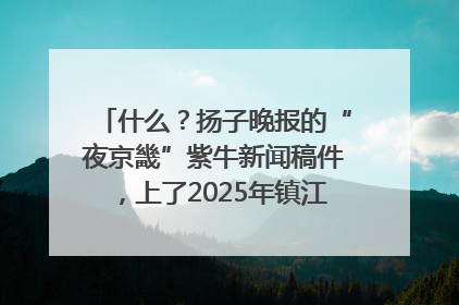 什么？扬子晚报的“夜京畿”紫牛新闻稿件，上了2025年镇江中考模拟卷！