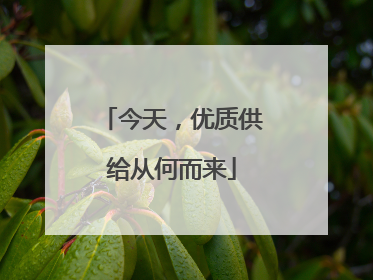 今天，优质供给从何而来
