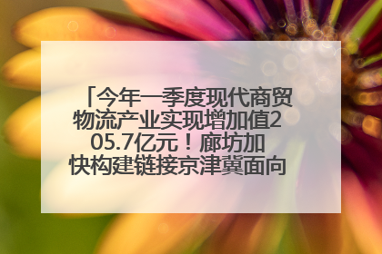 今年一季度现代商贸物流产业实现增加值205.7亿元！廊坊加快构建链接京津冀面向全世界的物流通道