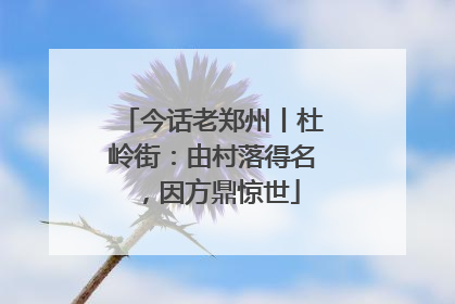 今话老郑州丨杜岭街：由村落得名，因方鼎惊世