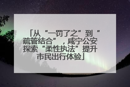 从“一罚了之”到“疏管结合”，咸宁公安探索“柔性执法”提升市民出行体验