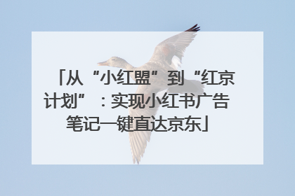 从“小红盟”到“红京计划”：实现小红书广告笔记一键直达京东