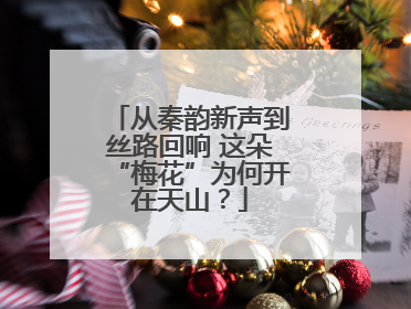从秦韵新声到丝路回响 这朵“梅花”为何开在天山？