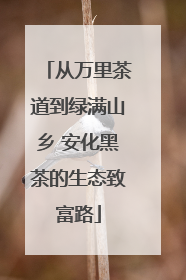 从万里茶道到绿满山乡 安化黑茶的生态致富路