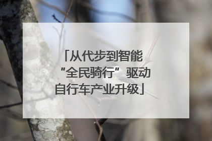 从代步到智能 “全民骑行”驱动自行车产业升级