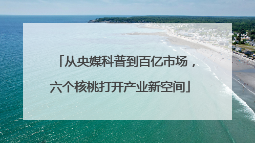 从央媒科普到百亿市场，六个核桃打开产业新空间