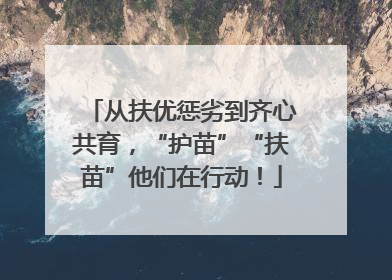 从扶优惩劣到齐心共育，“护苗”“扶苗”他们在行动！
