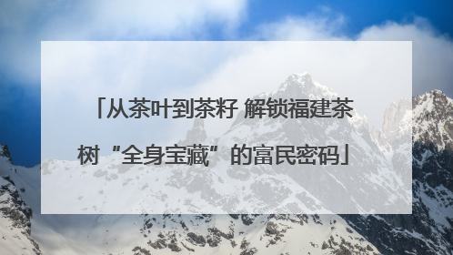 从茶叶到茶籽 解锁福建茶树“全身宝藏”的富民密码