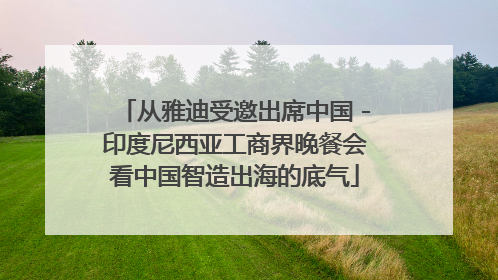从雅迪受邀出席中国－印度尼西亚工商界晚餐会看中国智造出海的底气