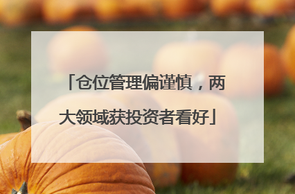 仓位管理偏谨慎，两大领域获投资者看好