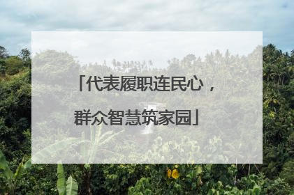 代表履职连民心，群众智慧筑家园